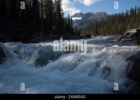 Mistaya river at the head of Mistaya canyon just aside Icefield's ...