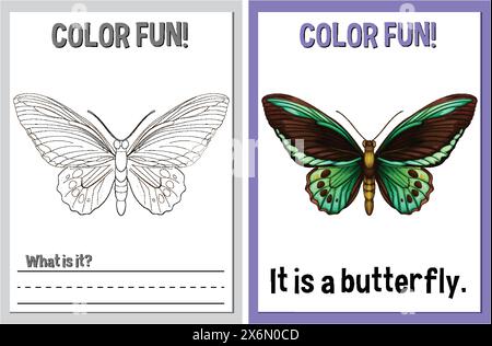 Coloring and learning activity with butterfly theme Stock Vector