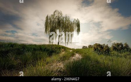 A meadow on a hill where a weeping willow casts long shadows - 3D illustration Stock Photo