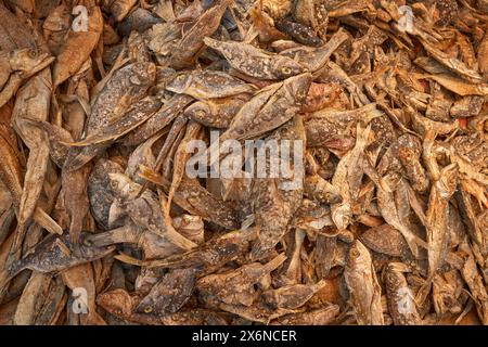 Madagascar fish market, travel in Africa. Dried fish with salt in the town market, Antananarivo in Madagascar. Close-up detail on river anamal. Stock Photo