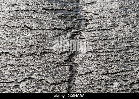 The riverbed of a branch of the Elbe in Hamburg that dried up at low tide Stock Photo