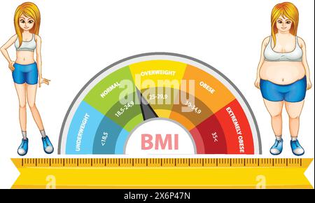 Body Mass Index or mass index scale. Types of BMI.Weight loss concept ...