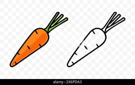 Carrot, vegetable, root vegetable or root-crop, graphic design. Root and plant, fruit, food and meal, nourishment, vector design and illustration Stock Vector