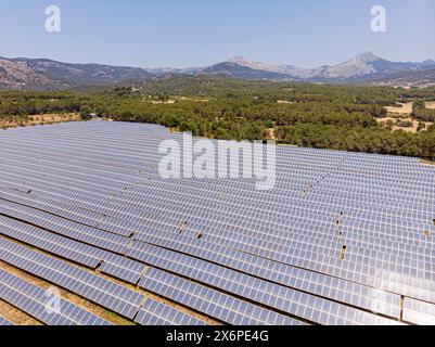 parque de energía solar fotovoltaica, ses Barraques, Calviá, Mallorca, Balearic Islands, Spain. Stock Photo