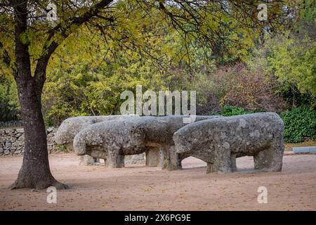Bulls of Guisando, Vetón sculptural group, 4th and 3rd centuries BC, Iron Age, Ávila, province of Ávila, autonomous community of Castilla y León, Spain. Stock Photo