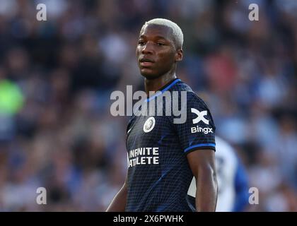 Brighton and Hove, UK. 15th May, 2024. Moisés Caicedo of Chelsea during the Premier League match at the AMEX Stadium, Brighton and Hove. Picture credit should read: Paul Terry/Sportimage Credit: Sportimage Ltd/Alamy Live News Stock Photo