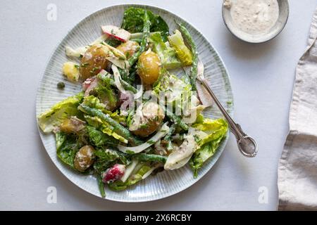 Vegan salad with baby potatoes, lettuce, green beans and radishes Stock Photo