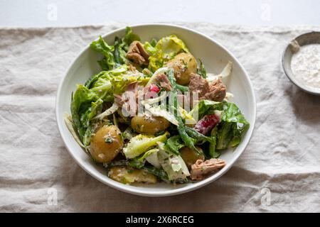 Tuna salad with baby potatoes, lettuce, green beans and radishes Stock Photo