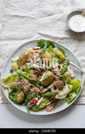 Tuna salad with baby potatoes, lettuce, green beans and radishes Stock Photo