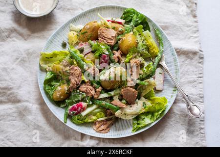 Tuna salad with baby potatoes, lettuce, green beans and radishes Stock Photo