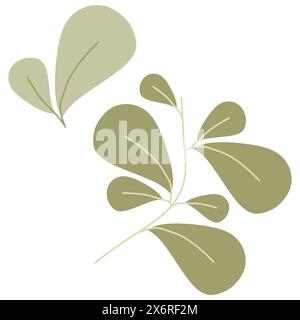 Eco green color Leaf vector logo flat icon set. Isolated Leaves shapes on white background. Bio plant and tree floral forest concept design. Botany Ca Stock Vector