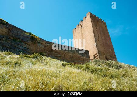 Exterior view of castle in Layana village in Zaragoza Province, Aragon in Spain Stock Photo