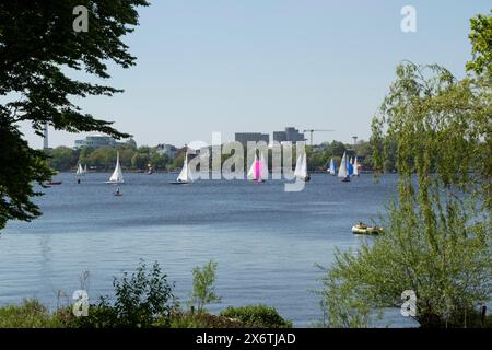 Symbolic picture weather, leisure activity, summery spring, sailing boats and rowing boats against a blue sky on the Alster in Hamburg, Germany Stock Photo