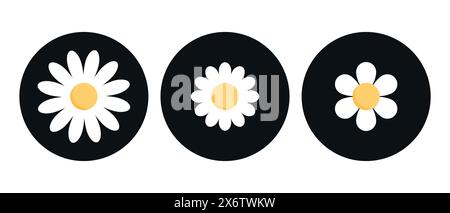 Cute chamomile flowers. Cute chamomile flower icons in black circles. Chamomile or daisy with white petals. Plant flower head sign symbol. Vector illu Stock Vector