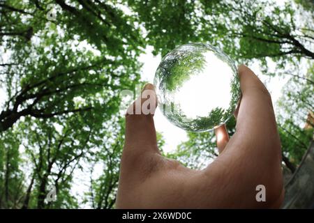 Beautiful green trees outdoors, overturned reflection. Man holding crystal ball in park, closeup. Wide-angle lens Stock Photo
