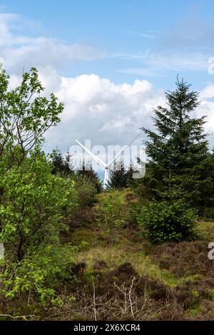 Single wind turbine stands tall behind lush green trees under a cloudy sky Stock Photo