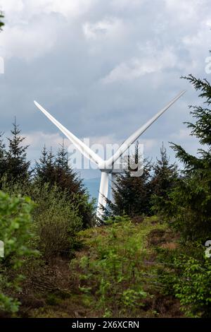 Single wind turbine stands tall behind lush green trees under a cloudy ...