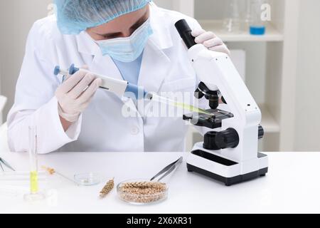 Quality control. Food inspector working in laboratory Stock Photo