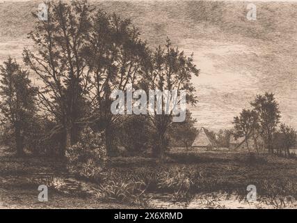 Landscape with four willows and a stream, print, print maker: Alfred Elsen, (mentioned on object), 1881, paper, etching, height, 234 mm × width, 330 mm Stock Photo