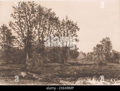 Landscape with four willows and a stream, print, print maker: Alfred Elsen, (signed by artist), 1881, paper, etching, height, 235 mm × width, 330 mm Stock Photo