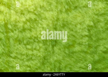 The texture of the synthetic hairy green material Stock Photo
