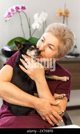 Mature russian woman kissing her old dog toy terrier close up Stock Photo