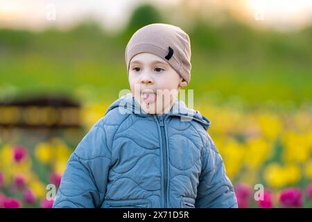 A funny three-year-old toddler boy shows his tongue and standing against the backdrop of a field of tulips. Childhood concept Stock Photo