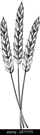 Bunch of wheat ears. Vector illustration isolated. Sereals for backery, flour production. Rye, barley spikelets. Harvesting wholegrain Template for wr Stock Vector