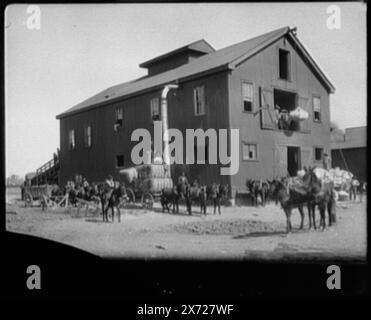 Cotton gin at Dahomey, Miss., Title devised., Unloading bails from horse-drawn wagons., 'Detroit Photographic Co.', Detroit Publishing Co. no. 01573., Gift; State Historical Society of Colorado; 1949,  Cotton industry. , Industrial facilities. , Carts & wagons. , Horse teams. , United States, Mississippi, Dahomey. Stock Photo