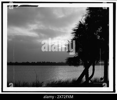 Moonlight on the Halifax, Ormond, Fla., Title from jacket., Detroit Publishing Co. no. 072419., Gift; State Historical Society of Colorado; 1949,  Moonlight. , Rivers. , United States, Florida, Ormond Beach. , United States, Florida, Halifax River. Stock Photo