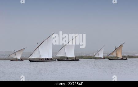 Traditional latin sailing boats race in the lake of La Albufera, Valencia, Spain. Stock Photo