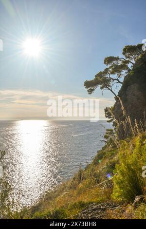 Backlight view from a cliff overlooking the sea of the promontory of Portofino in summer, Portofino, Genoa, Liguria, Italy Stock Photo