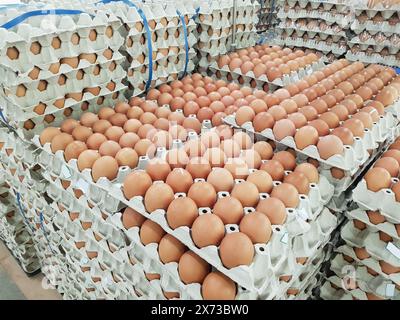 fresh raw chicken eggs in package for sale in supermarket Stock Photo