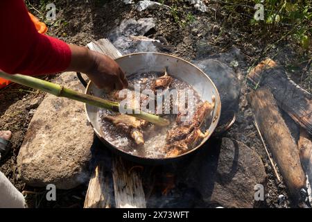 Peruvian indigenous woman frying Cuy (guinea pig) in a frying pan over firewood, traditional food of the Andes Stock Photo