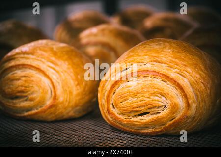 Freshly baked croissants on a baking sheet, close-up Stock Photo
