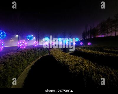 Night multi-colored illumination in the park. Stock Photo