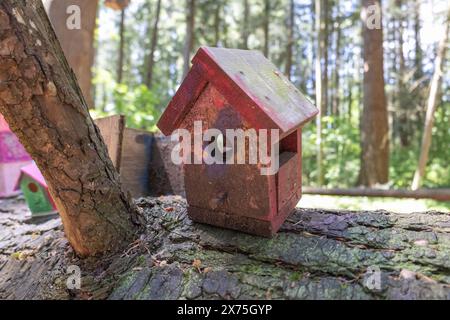 Collection of birdhouses made by children and placed on fallen trees in the forest. Stock Photo