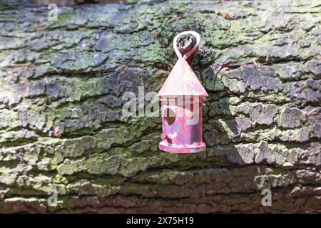 Collection of birdhouses made by children and placed on fallen trees in the forest. Stock Photo