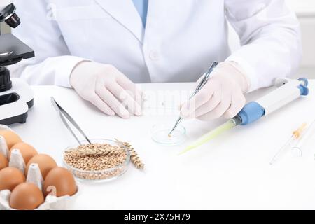 Quality control. Food inspector examining wheat grain in laboratory, closeup Stock Photo