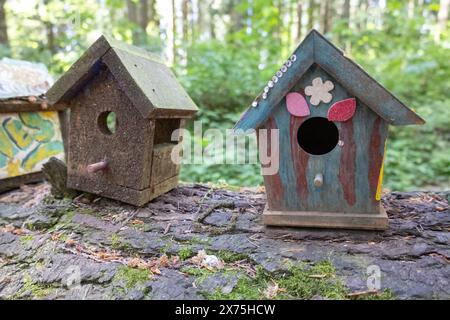 Collection of birdhouses made by children and placed on fallen trees in the forest. Stock Photo