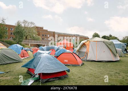 Pro Palestinian protesters set up around 40 tents at the University of Birmingham. The students are protesting the Israel Hamas war. Stock Photo