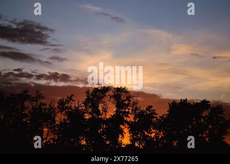 Morning glow illuminates the clouds on a beautiful colorful sky above the silhouettes of trees at dawn Stock Photo