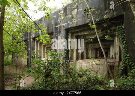 Abandoned artillery casemate at the 2nd World War defensive Fort Eben-Emael, now a museum, Bassenge, Belgium. Stock Photo