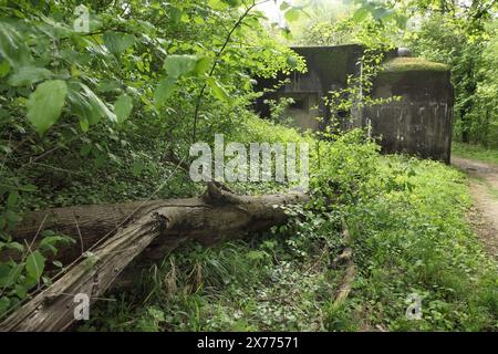 Abandoned artillery casemate at the 2nd World War defensive Fort Eben-Emael, now a museum, Bassenge, Belgium. Stock Photo