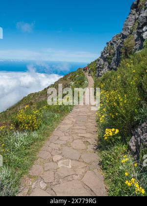 Tourist hikers walking at paved footpath, hiking trail PR1.2 from Achada do Teixeira to Pico Ruivo mountain, the highest peak in the Madeira, Portugal Stock Photo