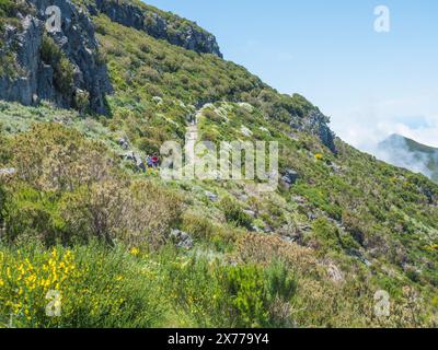 Tourist hikers walking at paved footpath, hiking trail PR1.2 from Achada do Teixeira to Pico Ruivo mountain, the highest peak in the Madeira, Portugal Stock Photo