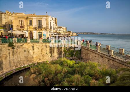 The Fountain of Arethusa, a natural spring on the island of Ortygia, Siracusa, Sicily Stock Photo