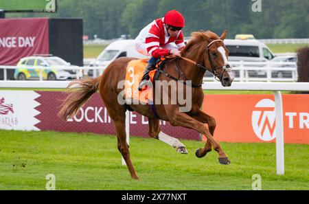 Newbury, United Kingdom, Saturday 18th May 2024; King's Gambit and jockey William Buick win the Trade Nation London Gold Cup Handicap Stakes (Heritage Handicap) for trainer Harry Charlton and owner Mr Mohammed Jaber. Credit JTW Equine Images / Alamy. Stock Photo
