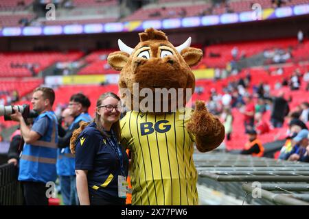 Wembley Stadium, London, UK. 18th May, 2024. EFL League One Play Off Football Final, Bolton Wanderers versus Oxford United; Oxford United mascot Olly the Ox alongside a member of Oxford United staff. Credit: Action Plus Sports/Alamy Live News Stock Photo