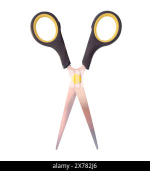 Scissors Top View Top view of small multipurpose scissors with black handle is isolated ...